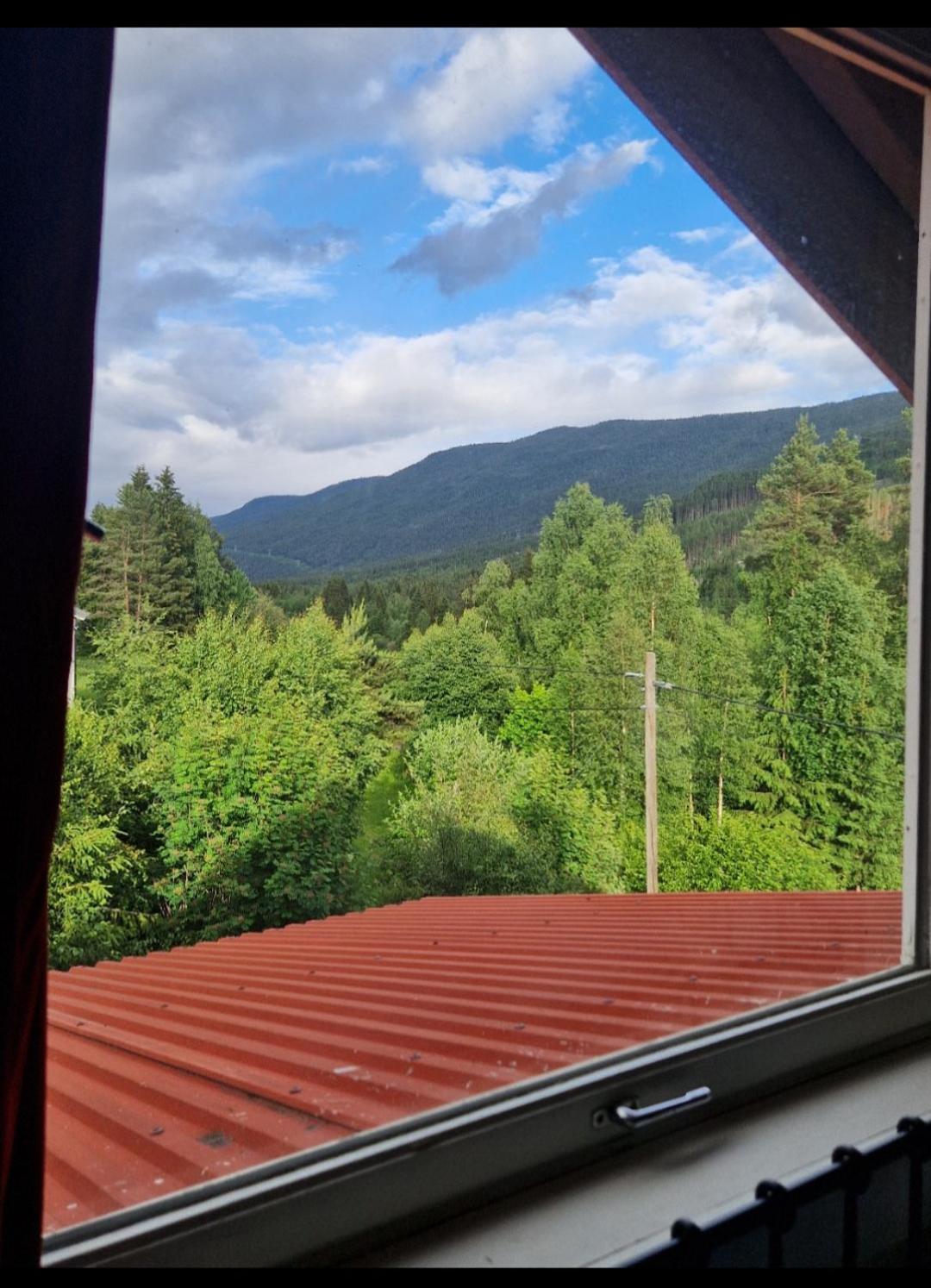 Holiday Rooms Gol Oda fotoğraf